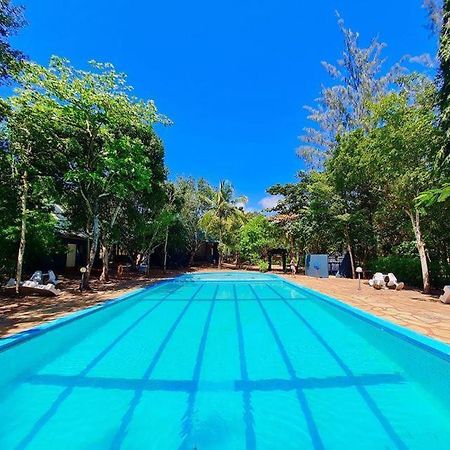 דיאני ביץ' Kijani Cottages In Diani מראה חיצוני תמונה