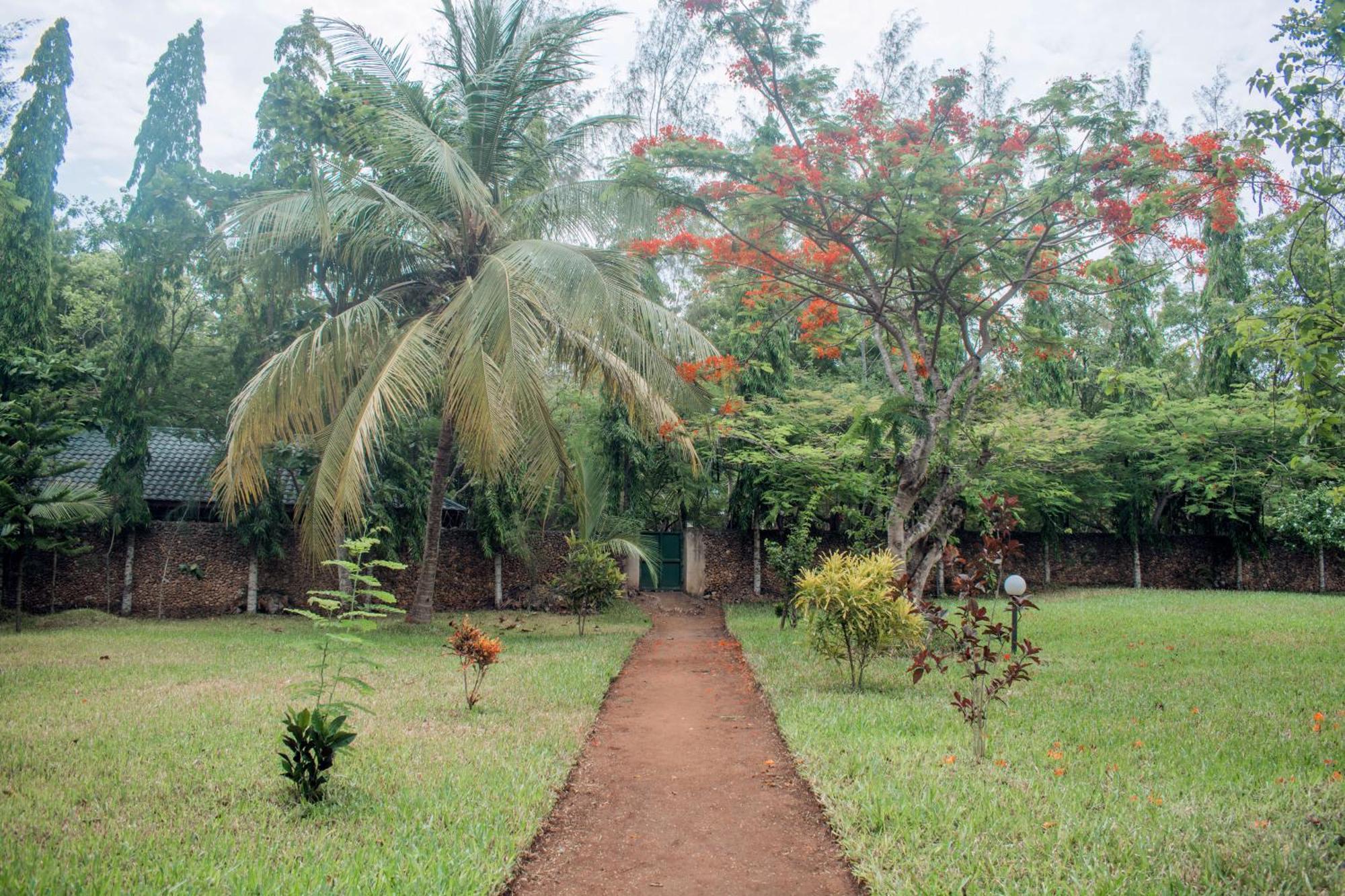 דיאני ביץ' Kijani Cottages In Diani מראה חיצוני תמונה
