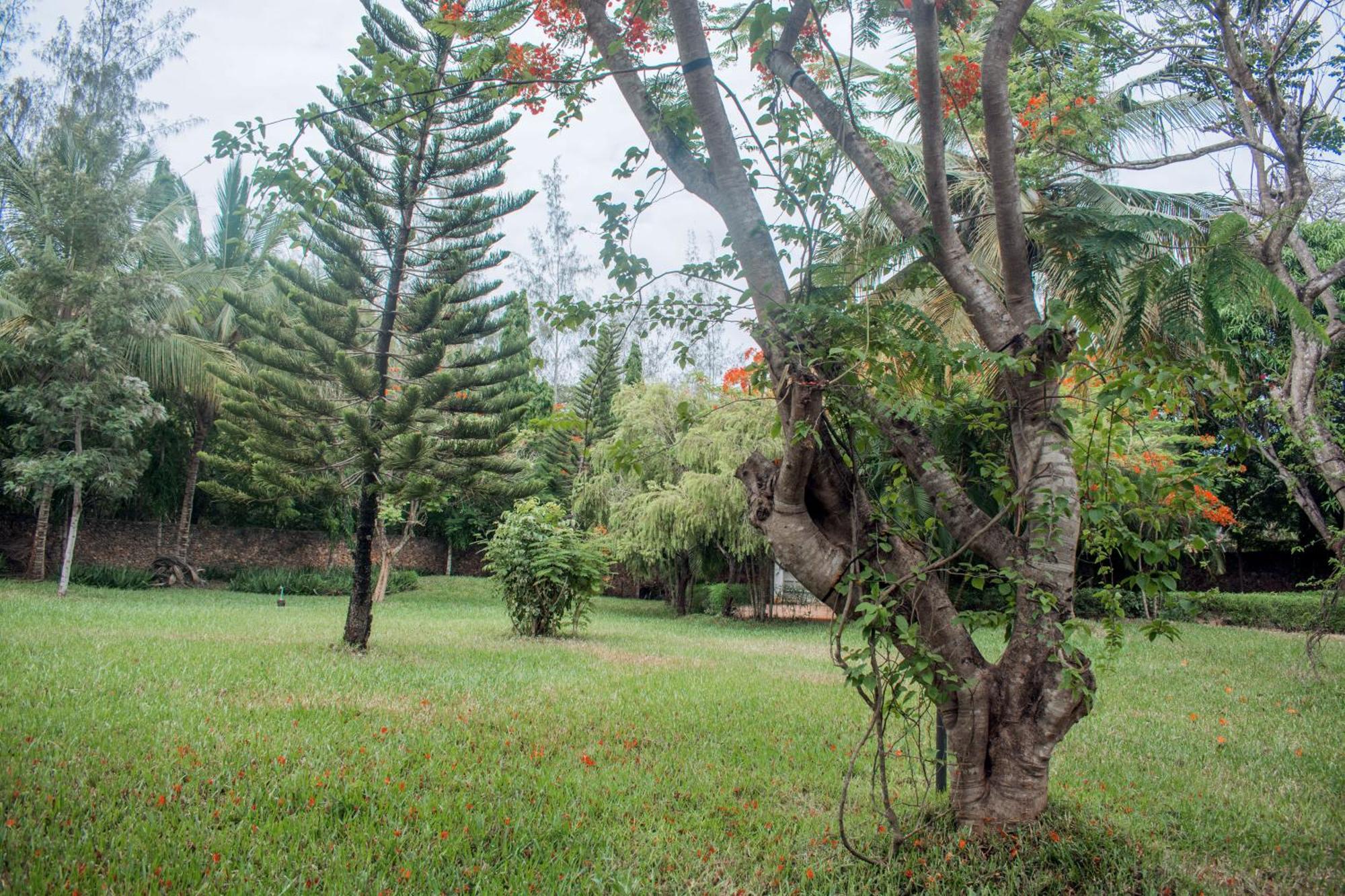 דיאני ביץ' Kijani Cottages In Diani מראה חיצוני תמונה