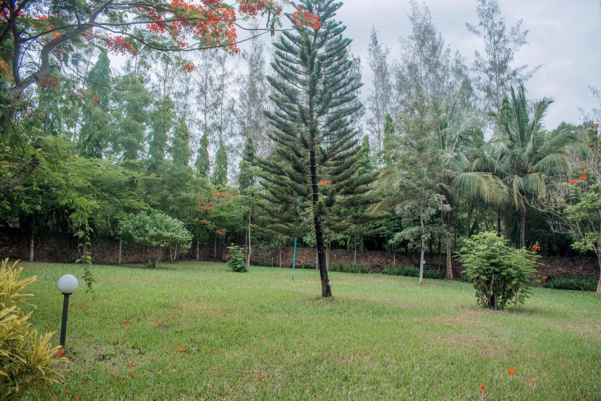 דיאני ביץ' Kijani Cottages In Diani מראה חיצוני תמונה