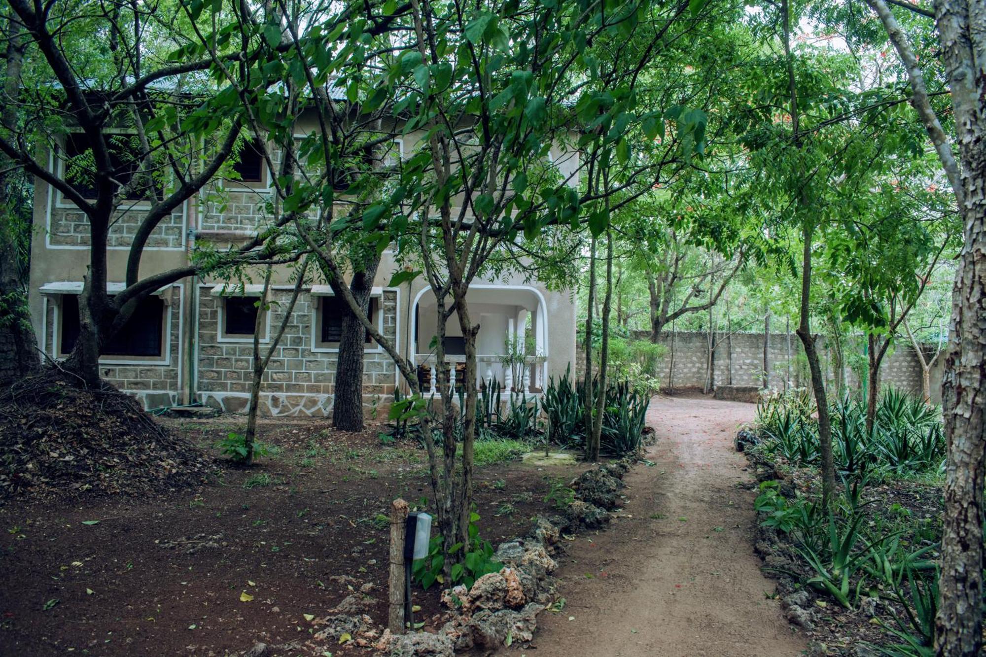 דיאני ביץ' Kijani Cottages In Diani מראה חיצוני תמונה